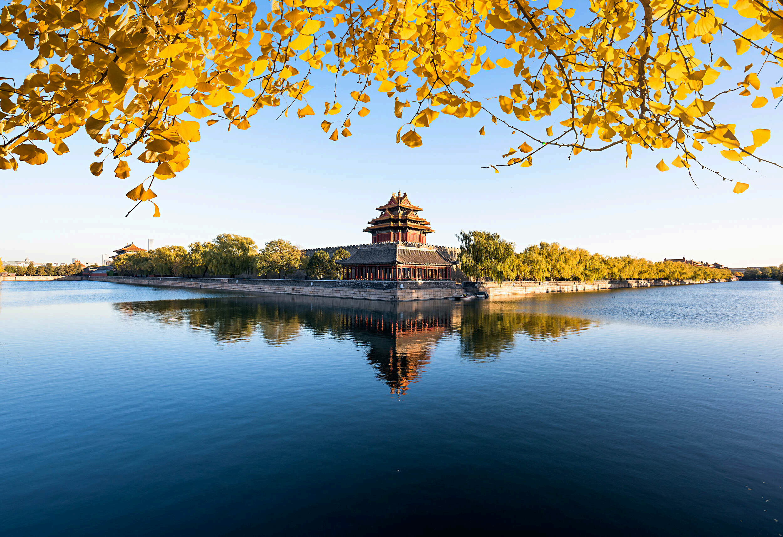 Forbidden City corner tower reflected in the moat beneath golden autumn leaves.
