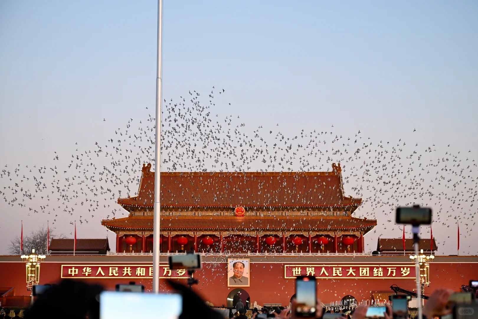 Pigeons flying above Tiananmen Gate while visitors photograph the scene.
