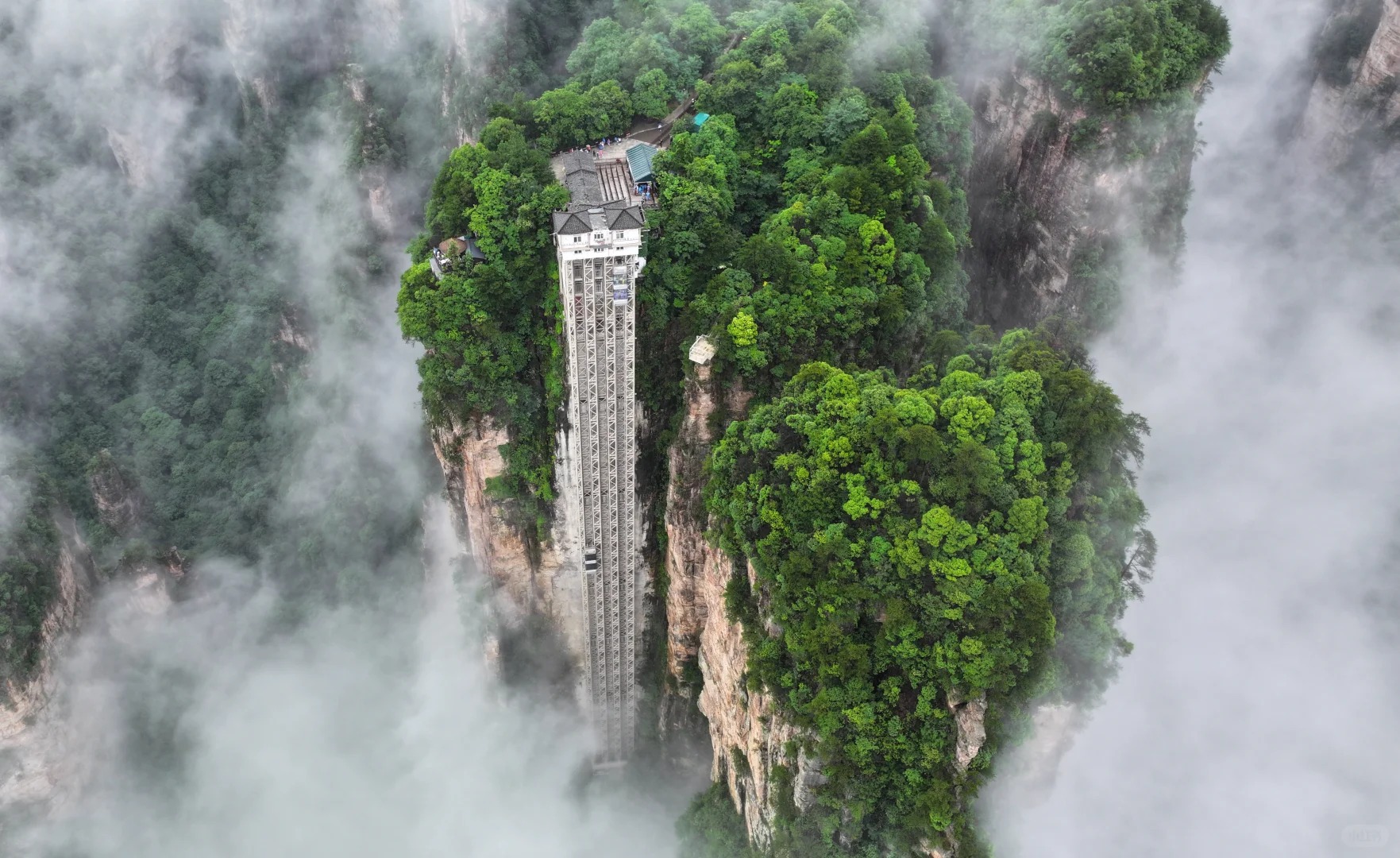 The Bailong outdoor elevator built against a forested sandstone pillar in misty Zhangjiajie.