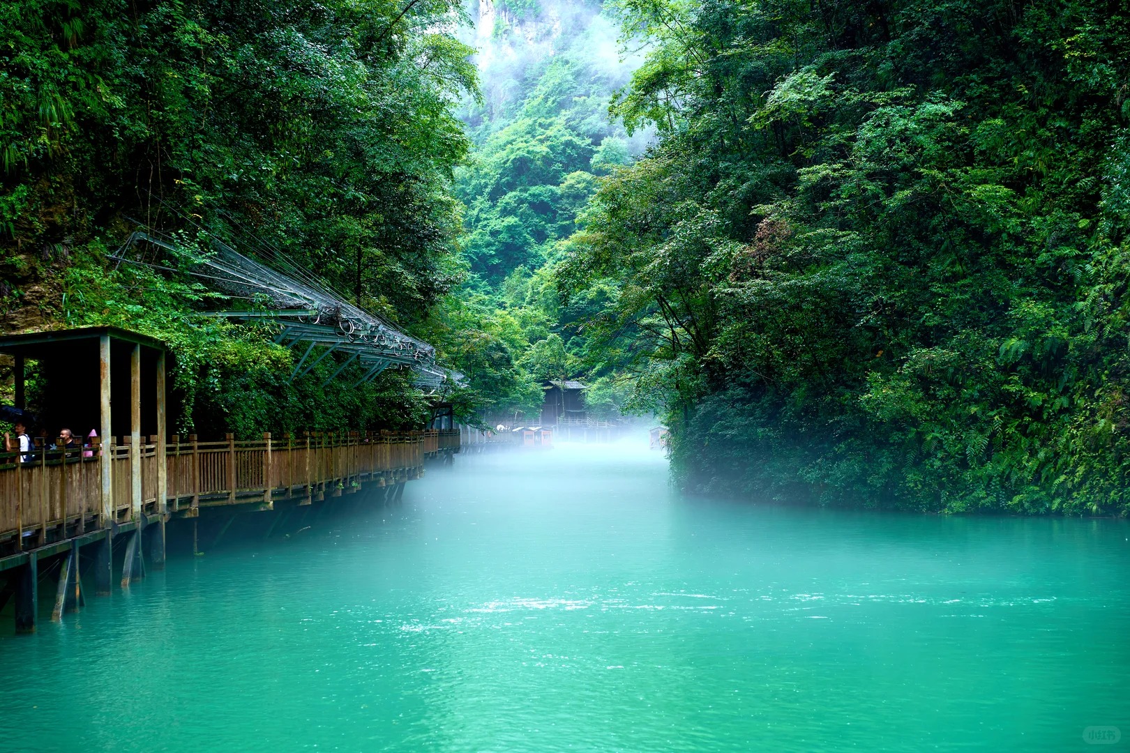 Turquoise water beside a wooden walkway and dense green forest at Baofeng Lake.