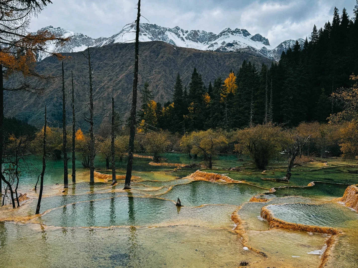 Mineral-edged pools gather beneath forest and snow-marked peaks at Huanglong.
