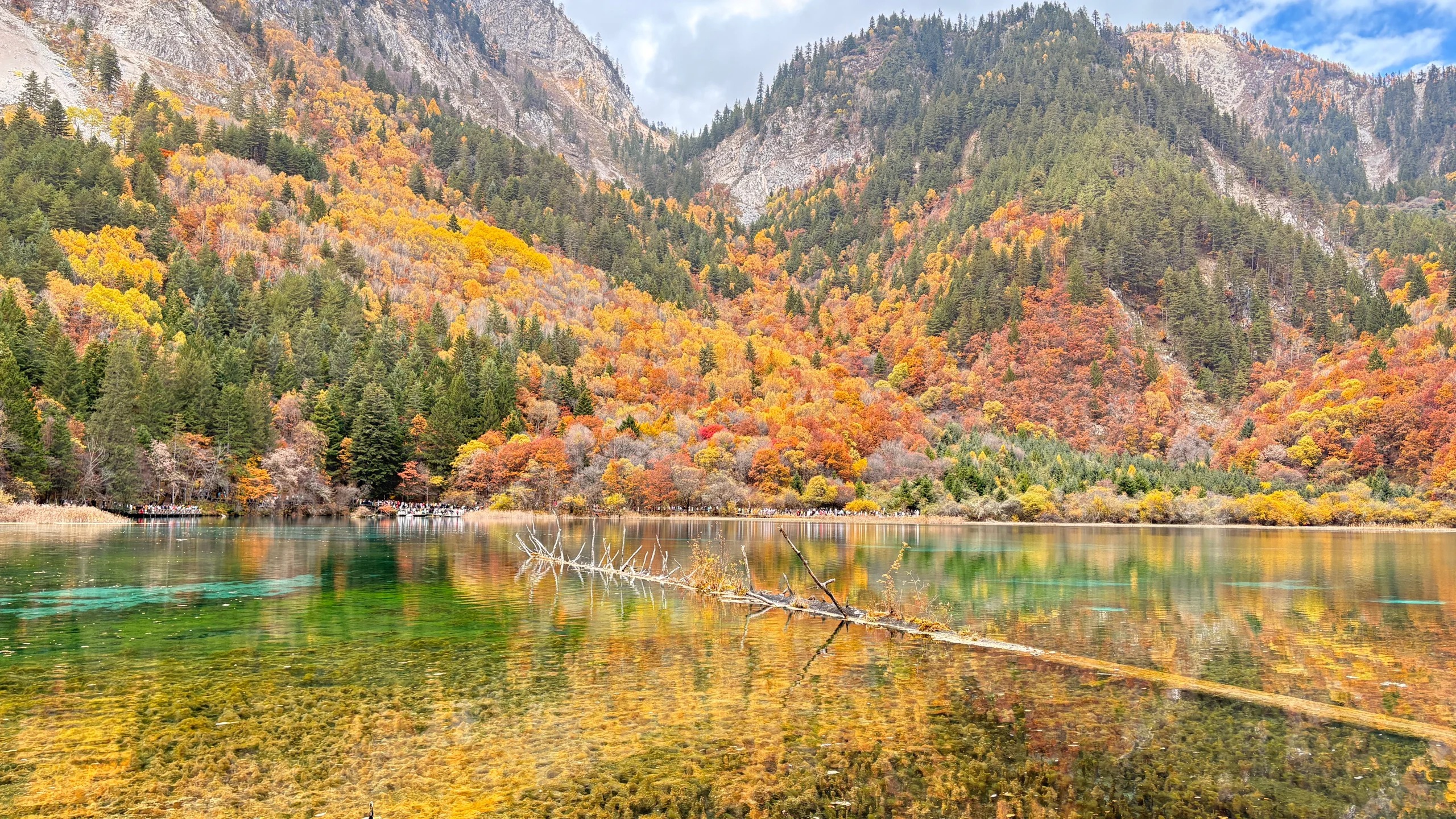 Golden autumn forest and rocky mountains reflected in clear water in Jiuzhaigou.