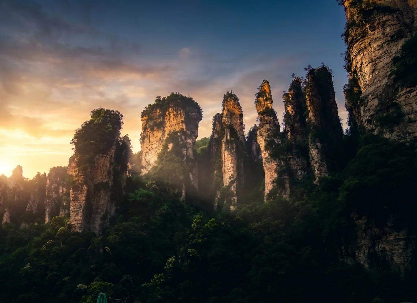 Golden sunset light falling across tall forested sandstone pillars in Zhangjiajie